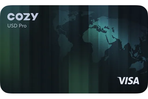 Cwallet Cozy Card USD Pro Visa USD card