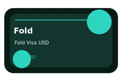 Fold Visa USD card