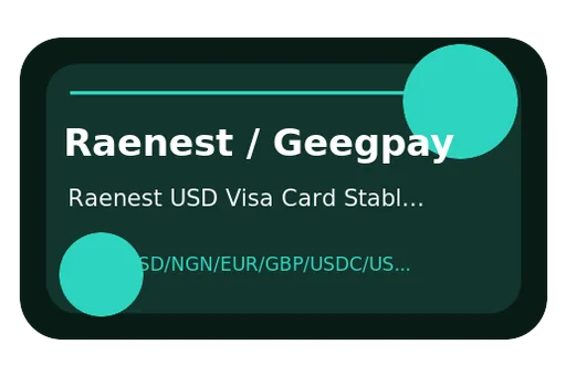 Raenest USD Visa Card Stablecoins Visa USD card