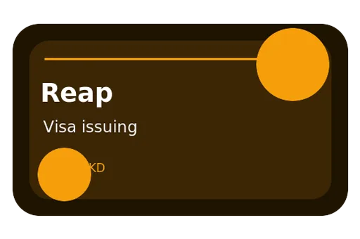 Reap Visa Card Issuing Visa USD card
