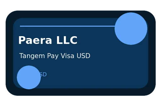 Tangem Pay Visa Visa USD card