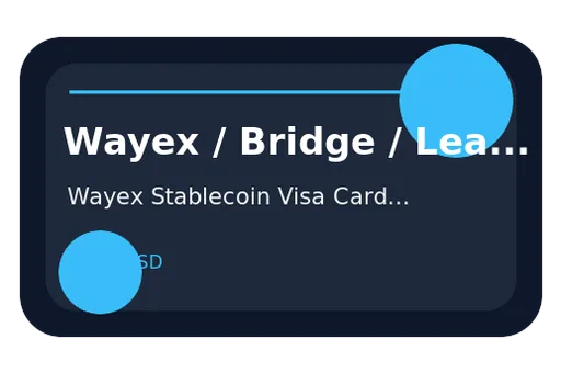 Wayex Stablecoin Visa Card Visa USD card