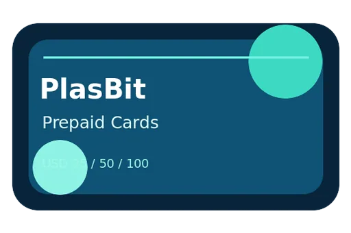 PlasBit Unknown USD card