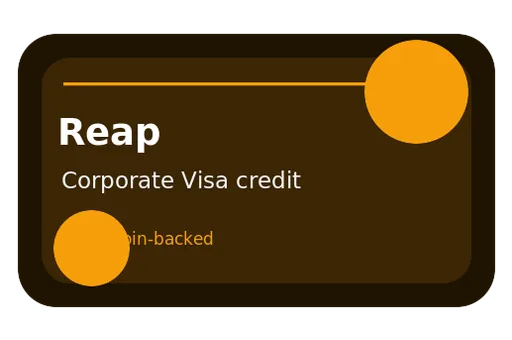 Reap Visa USD card